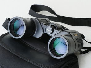 探索日本雙筒望遠鏡 代購渠道、價格解析與二手市場指南